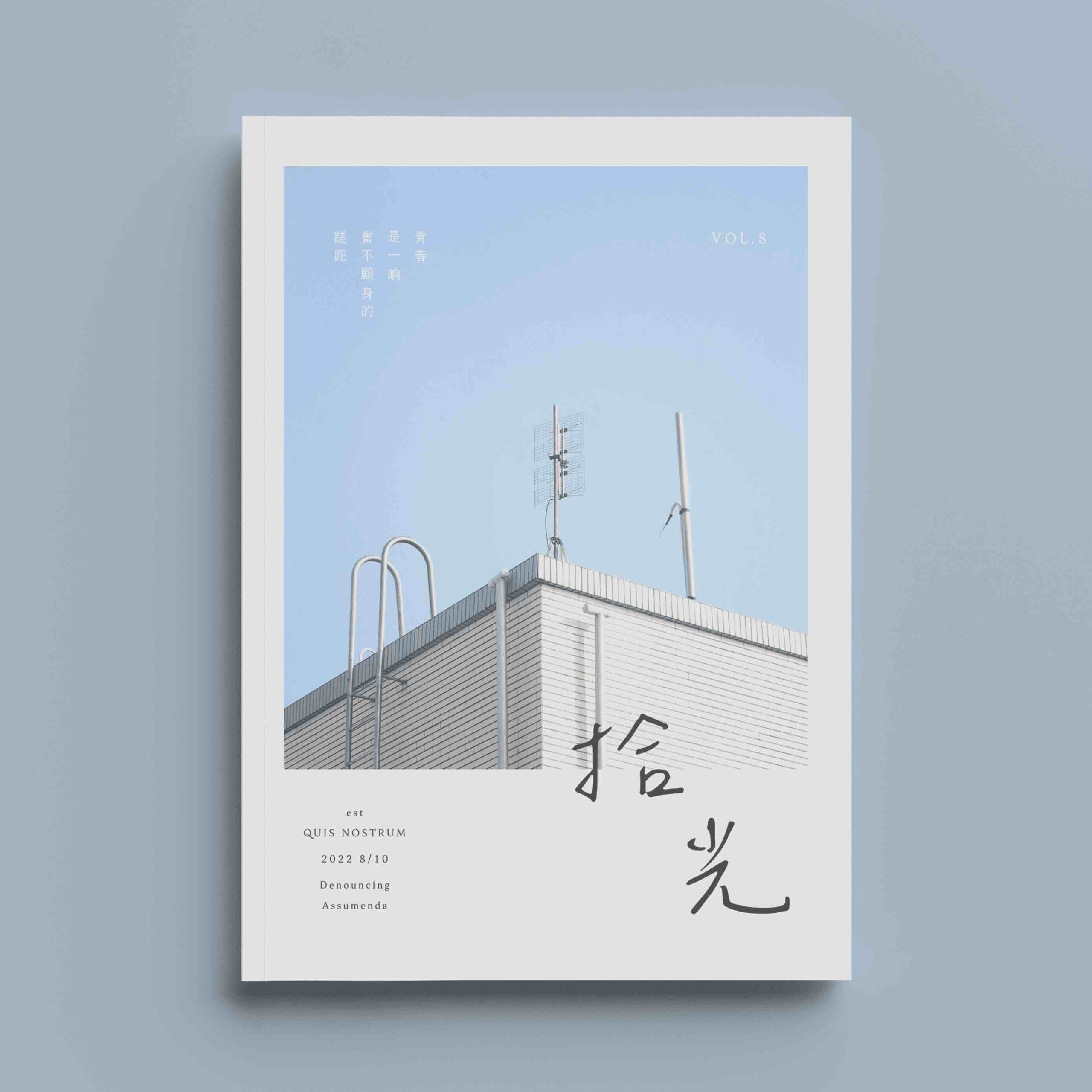 辰宇落雁体