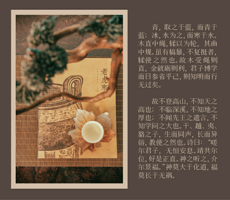 免费字体下载!一款秀气雅致的中文字体—飞花宋体