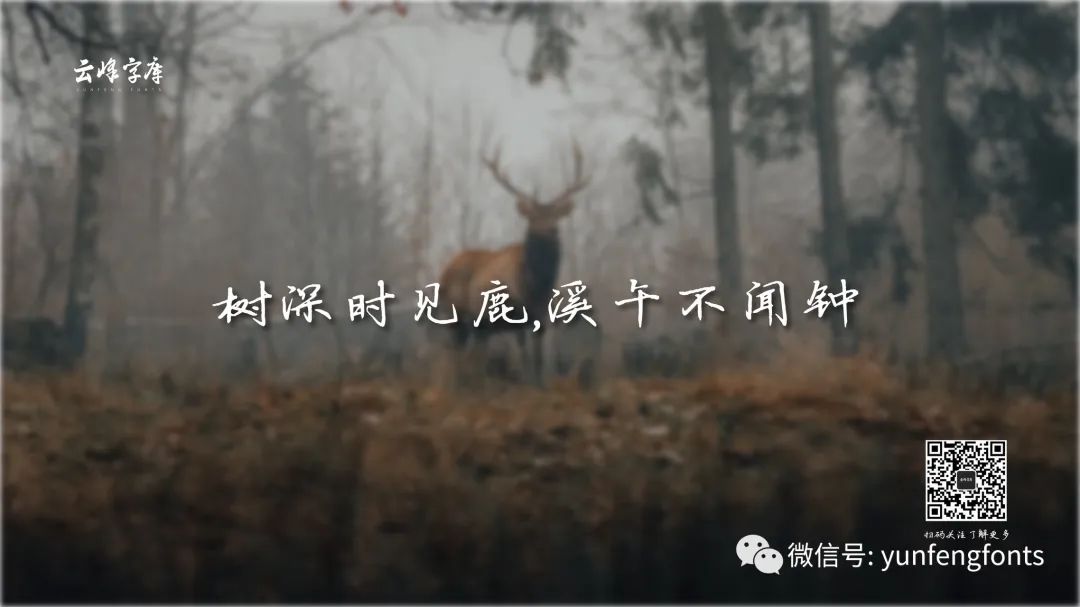 云峰寒蝉体：温润耐看的中文手写硬笔书法字体