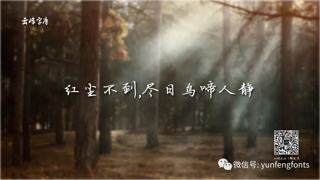 云峰寒蝉体：温润耐看的中文手写硬笔书法字体