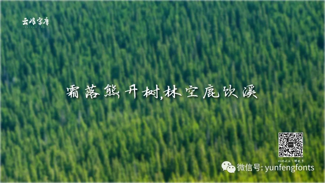 云峰寒蝉体：温润耐看的中文手写硬笔书法字体