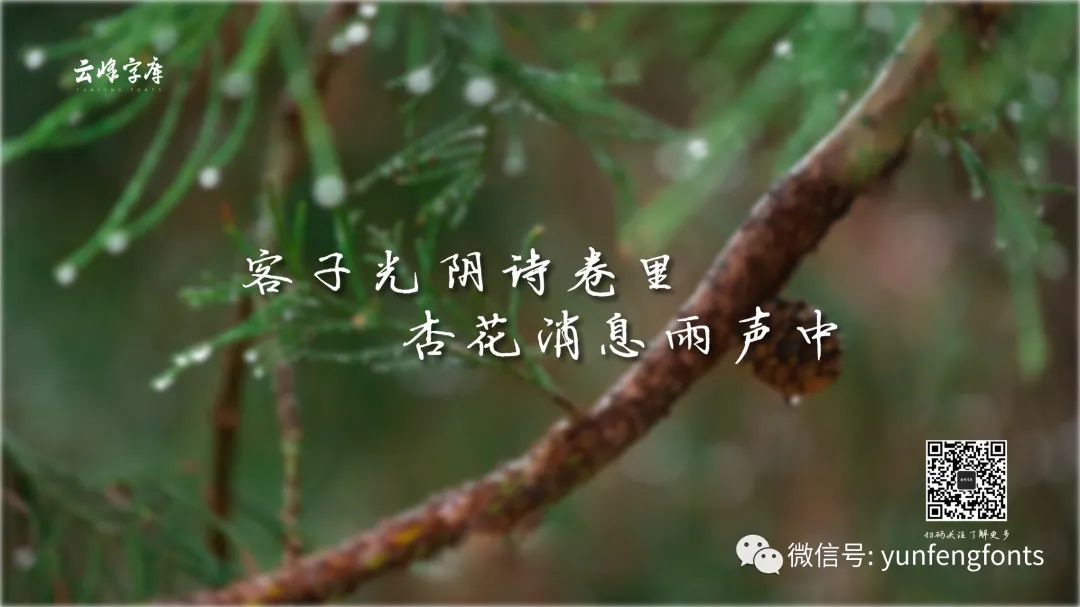 云峰寒蝉体：温润耐看的中文手写硬笔书法字体