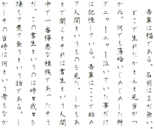 青柳衡山毛笔T