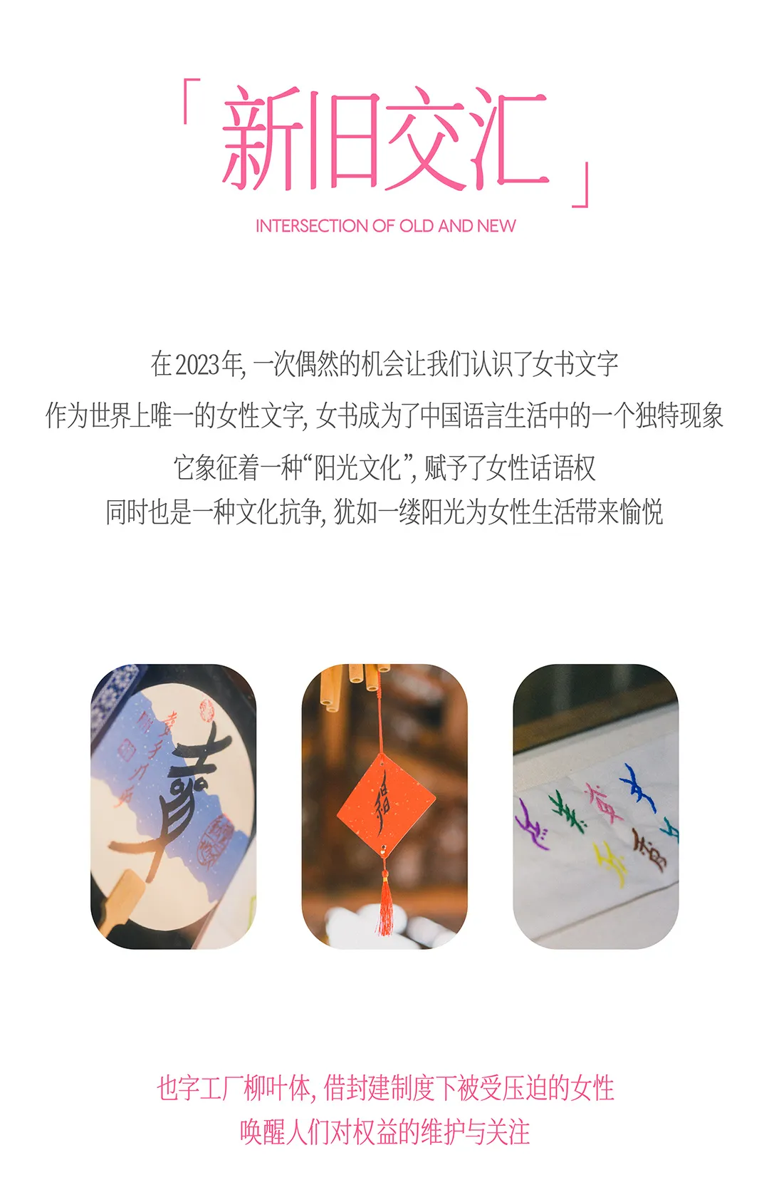 也字工厂柳叶体:基于女书文化转译的瘦长倾斜手写展示字体