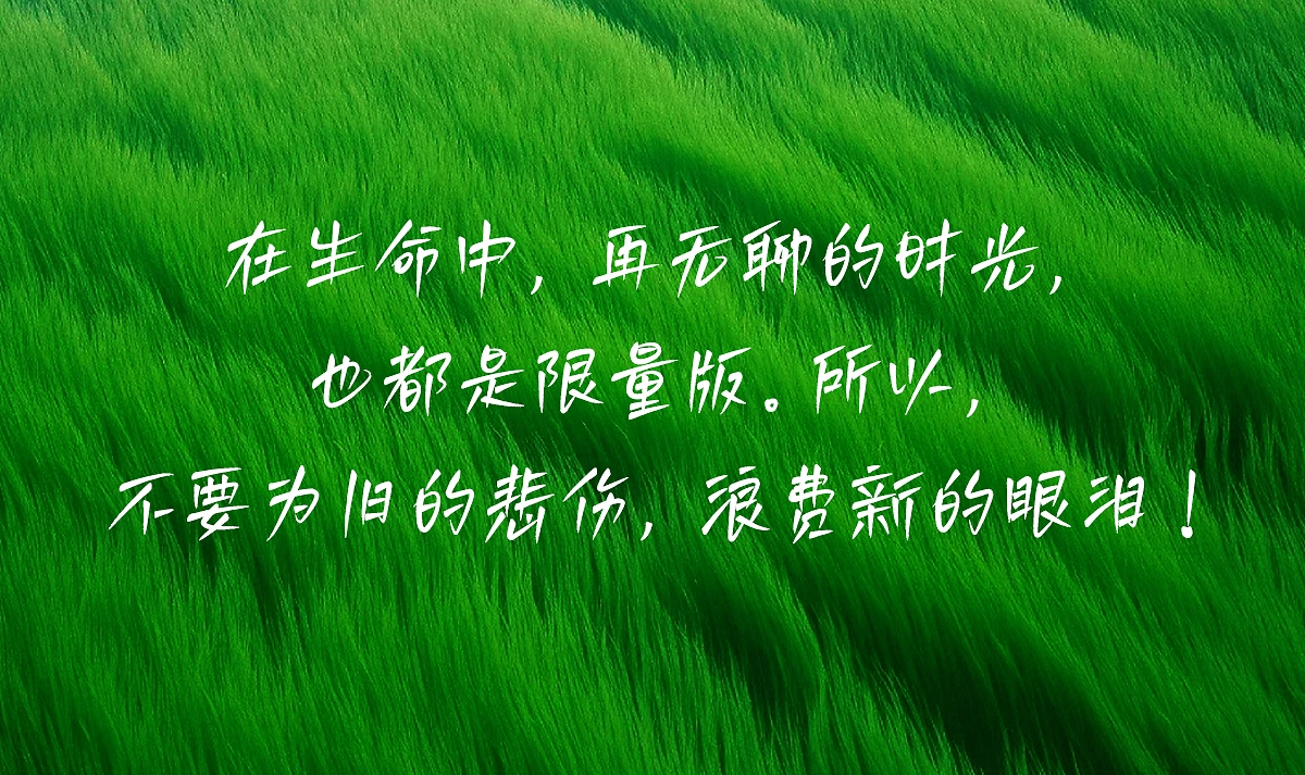 白路俏丽手写体:轻盈文艺的免费商用手写字体下载