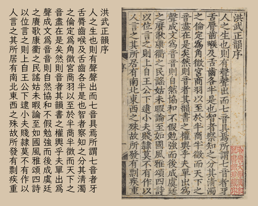 月星楷