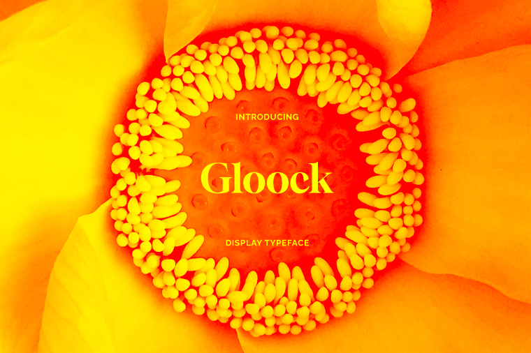 Gloock