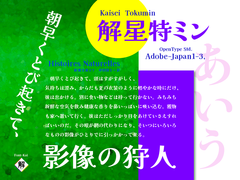 解星 特ミン