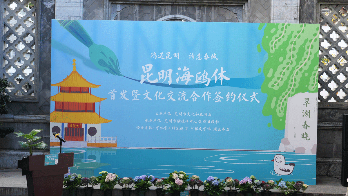 昆明海鸥体