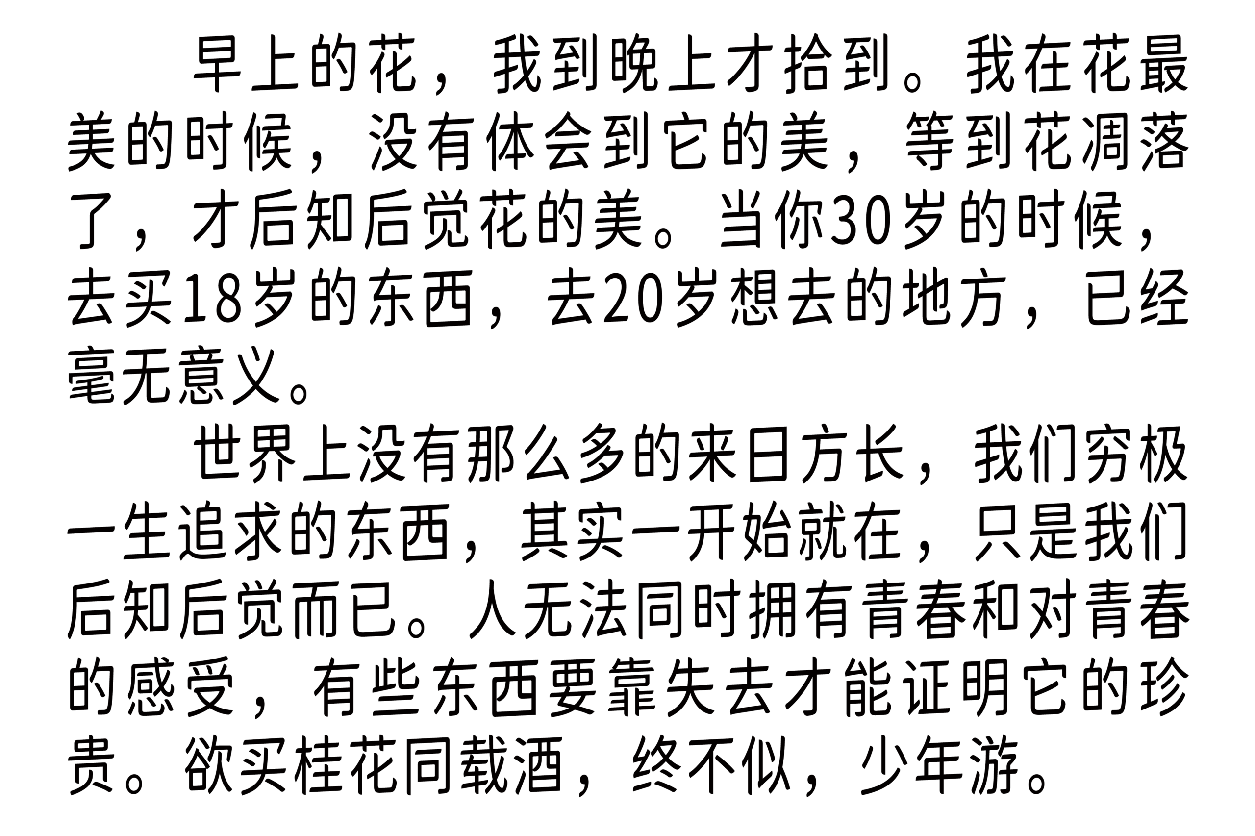 猫啃网秀雅圆