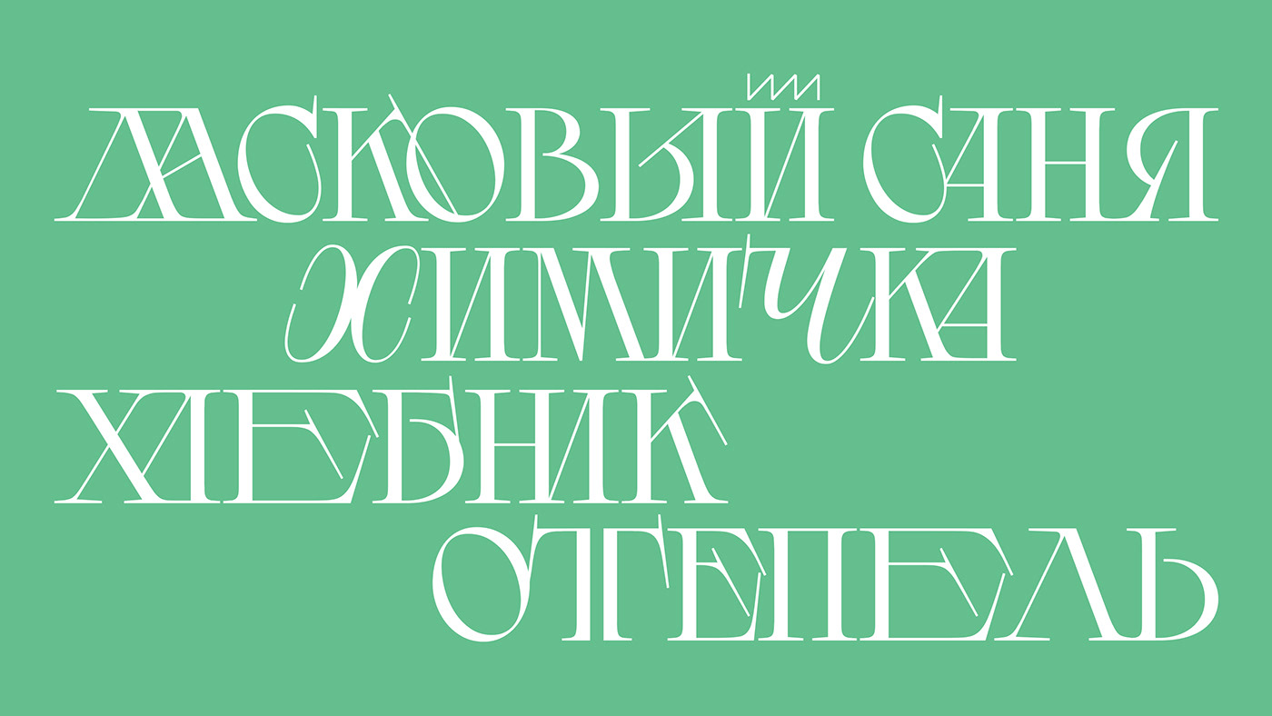 DRUZHOK:实验解构艺术衬线英文字体