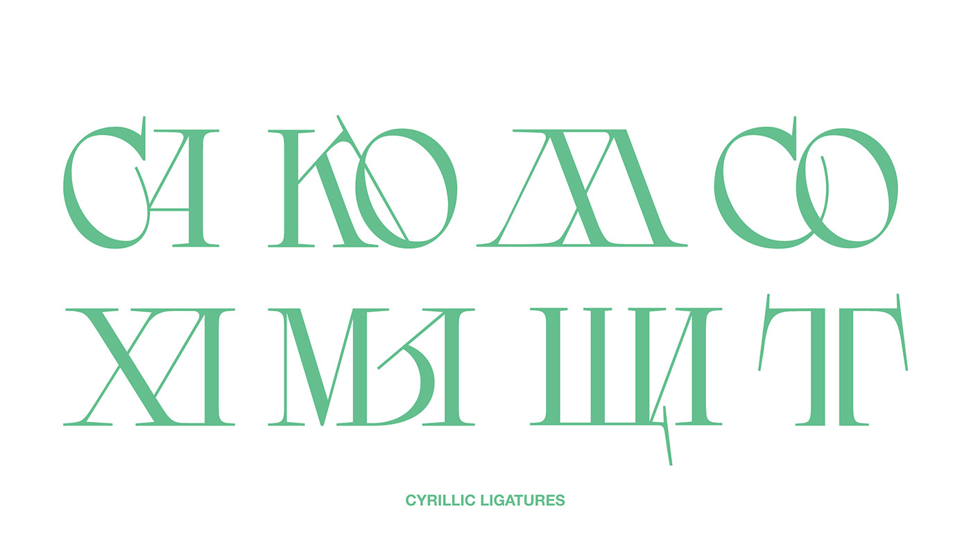 DRUZHOK:实验解构艺术衬线英文字体