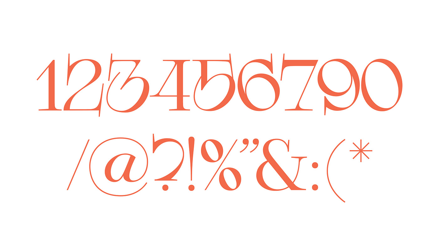 DRUZHOK:实验解构艺术衬线英文字体