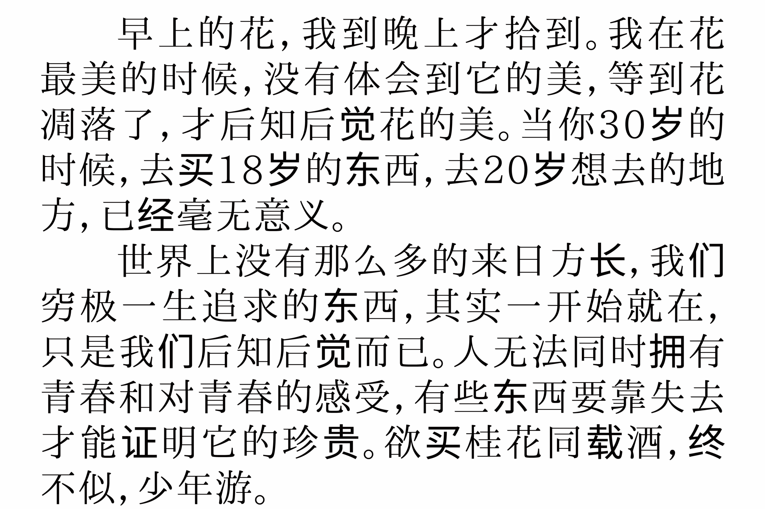 IPAmj明朝