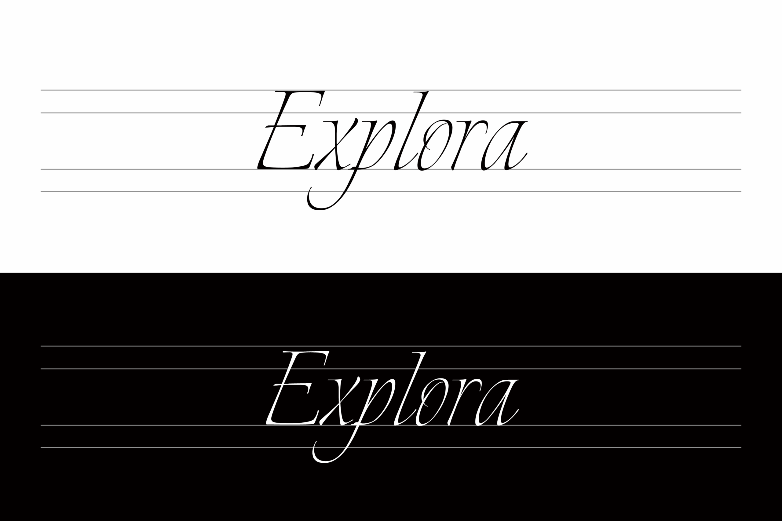 Explora:优雅书法免费商用英文字体下载