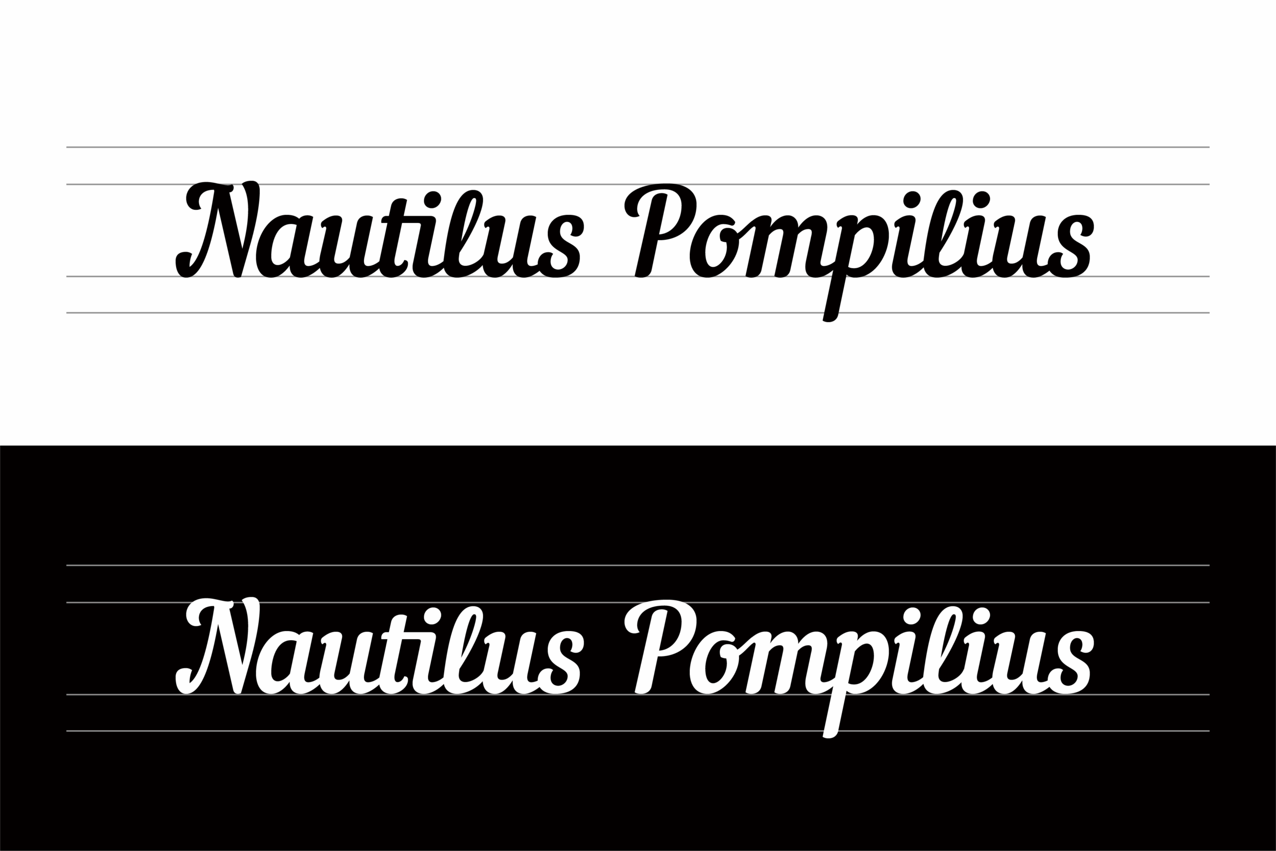 Nautilus Pompilius