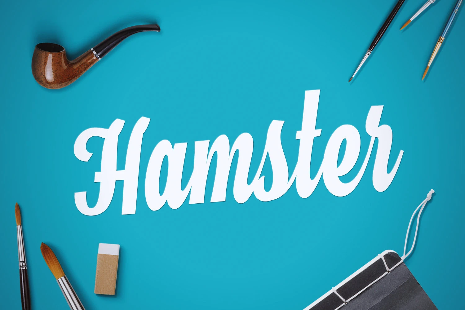 Hamster Script:复古招牌风格手写连笔英文字体