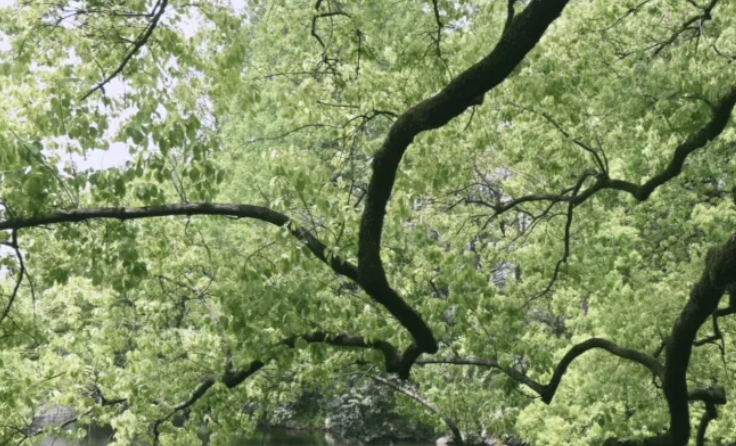 自然磨损质感模拟油墨