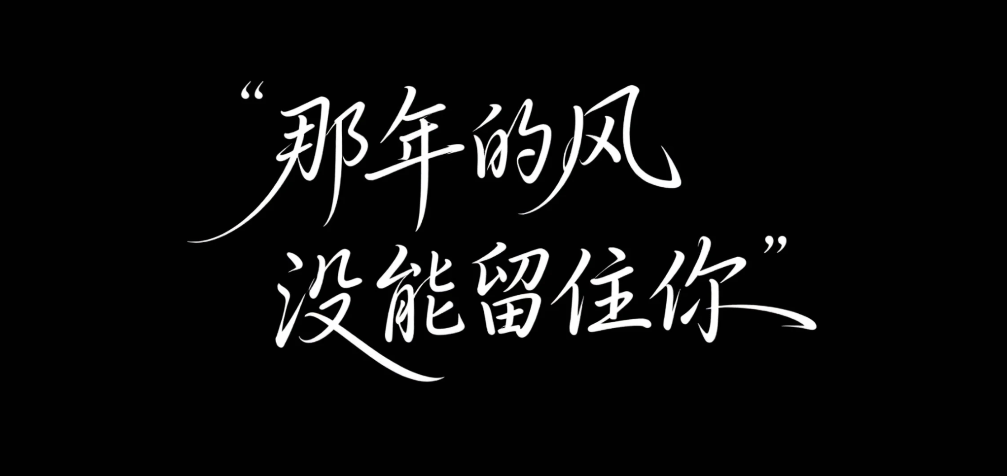 那年的风 没能留住你AI字体设计