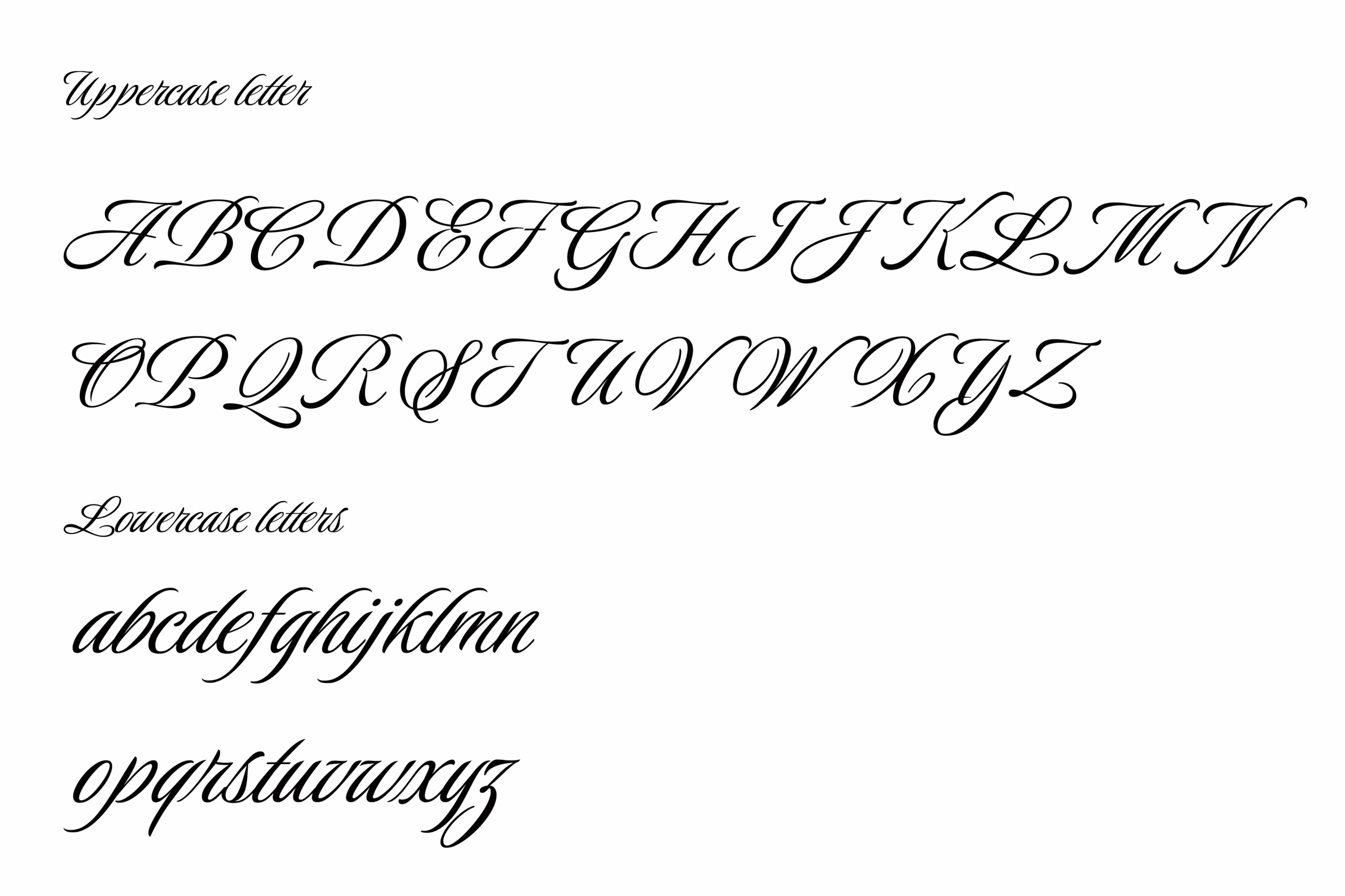 Luxurious Script