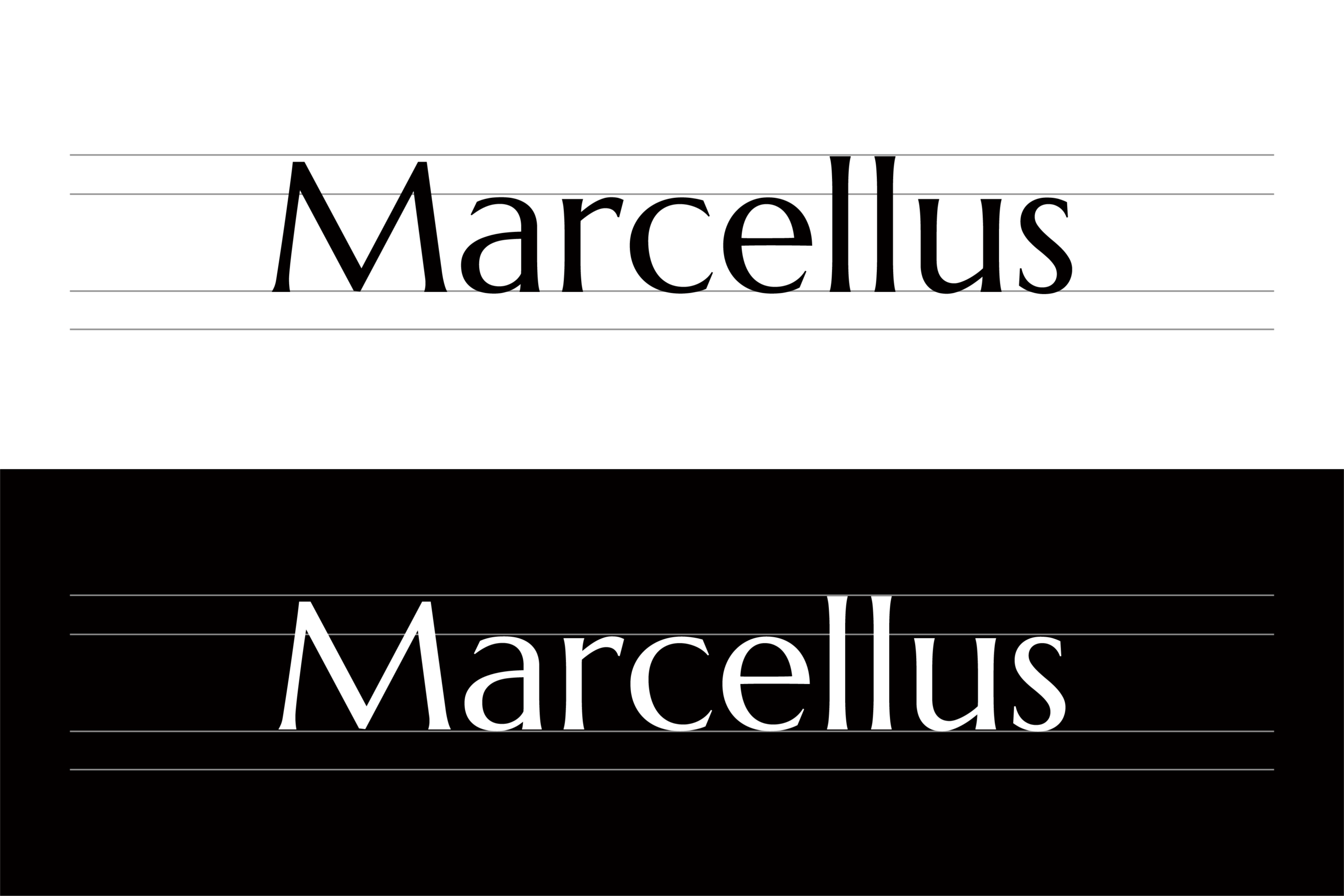 Marcellus