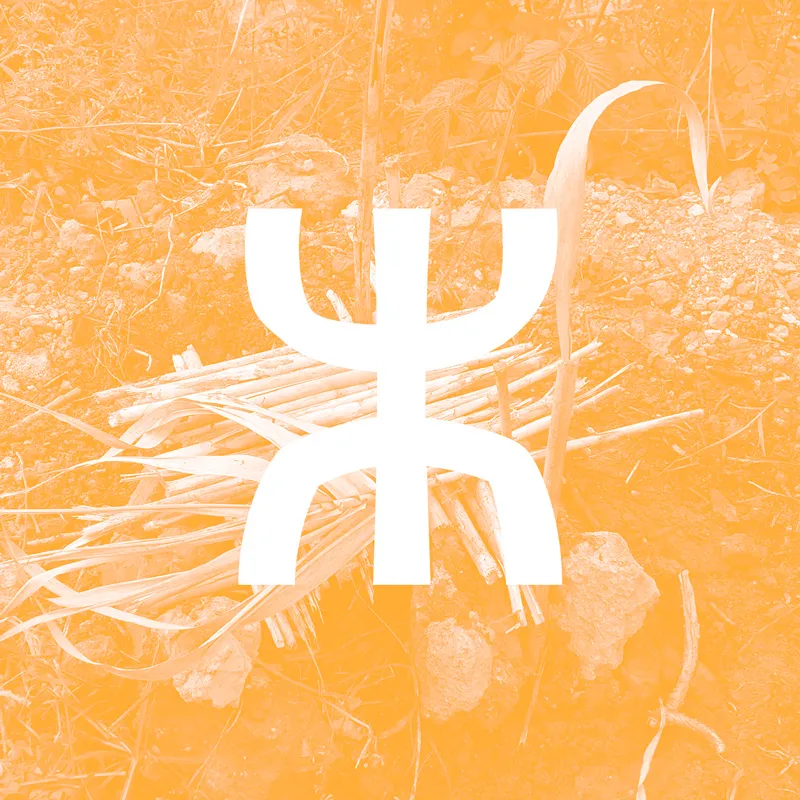 Canarina