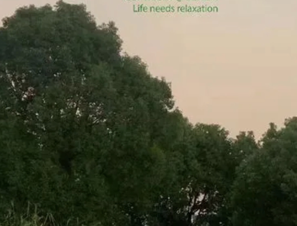 日系稚拙自然手帐标题字体