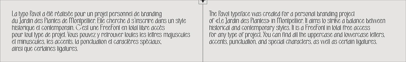 Pavot