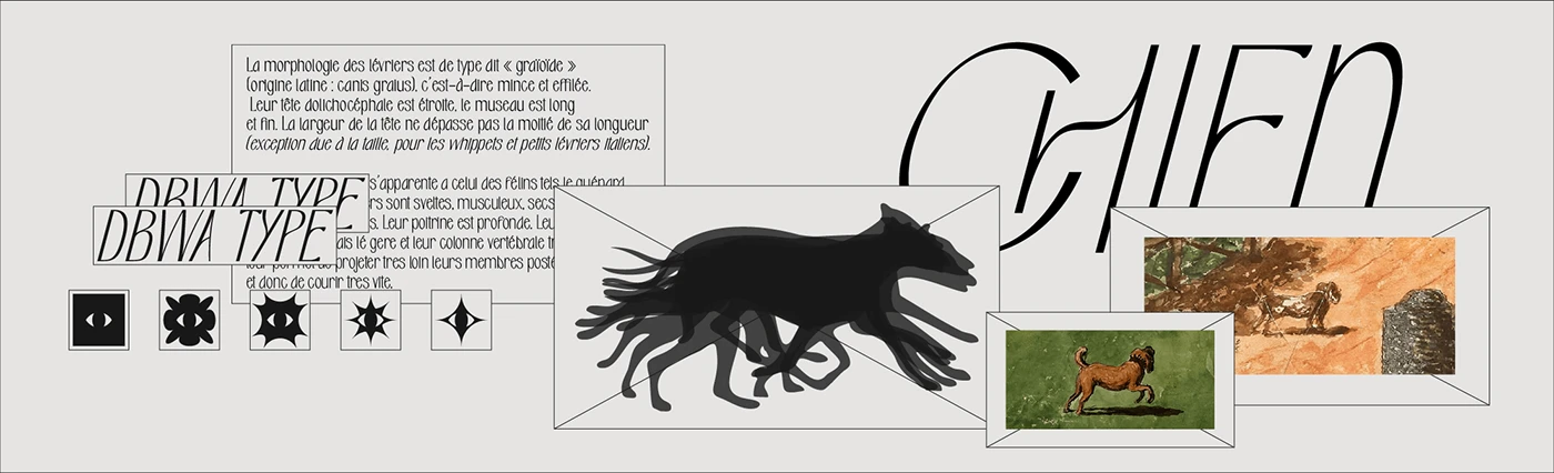 Pavot