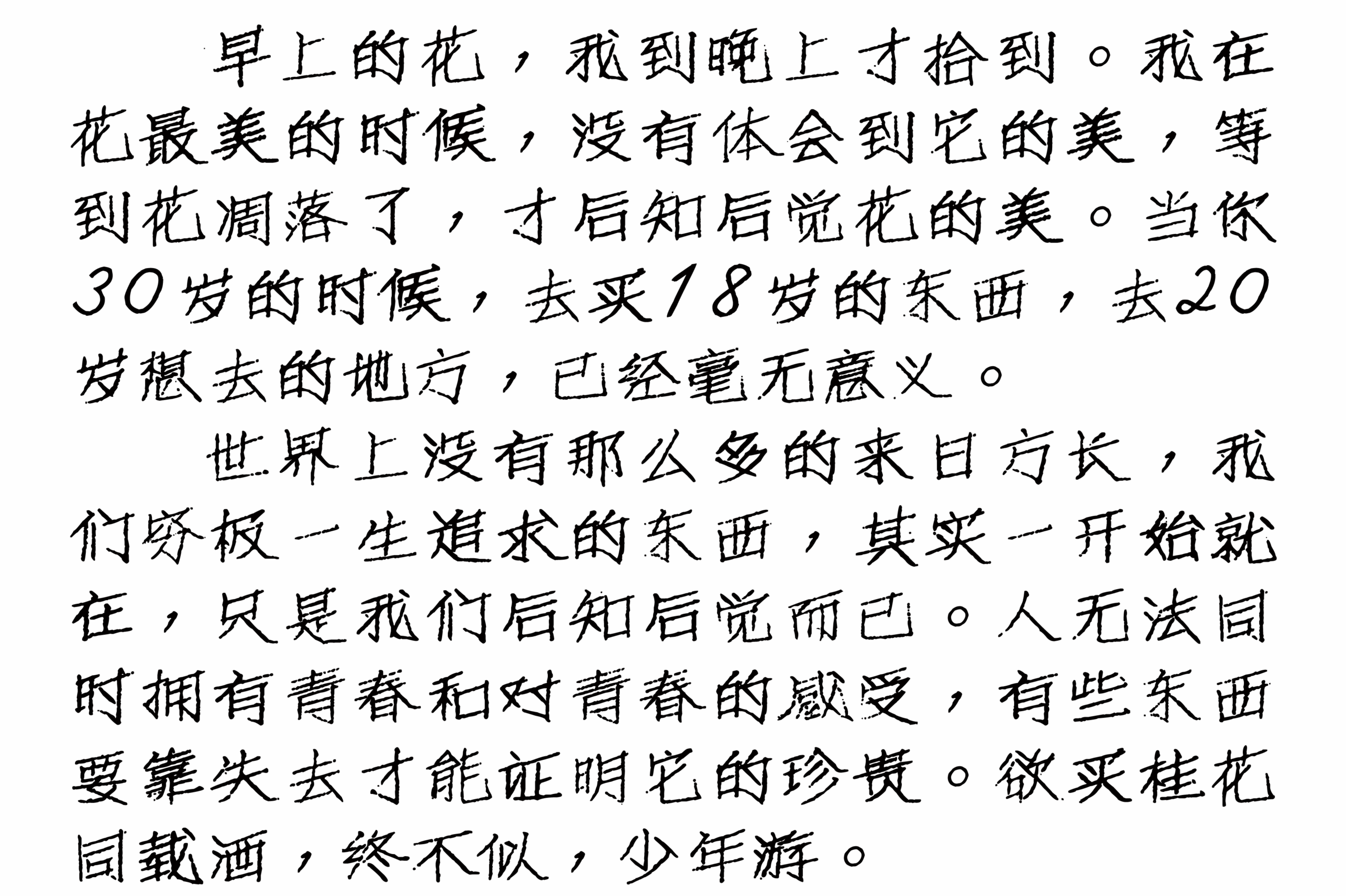 油茶馓子体