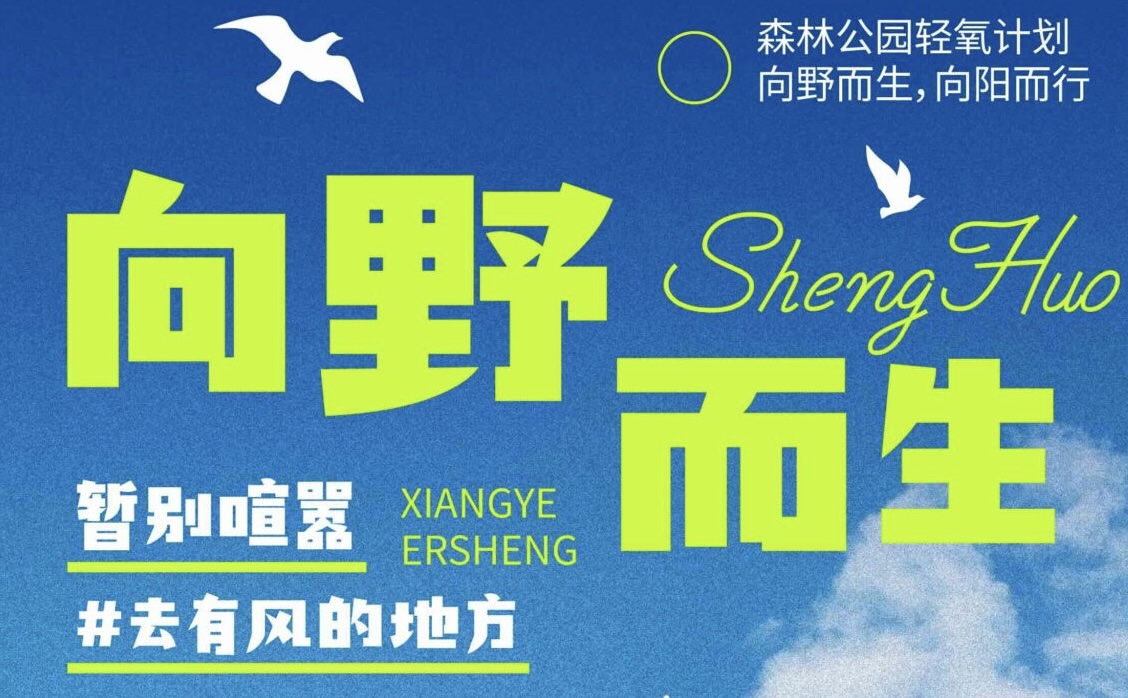 灵动自由速度视觉冲击字体