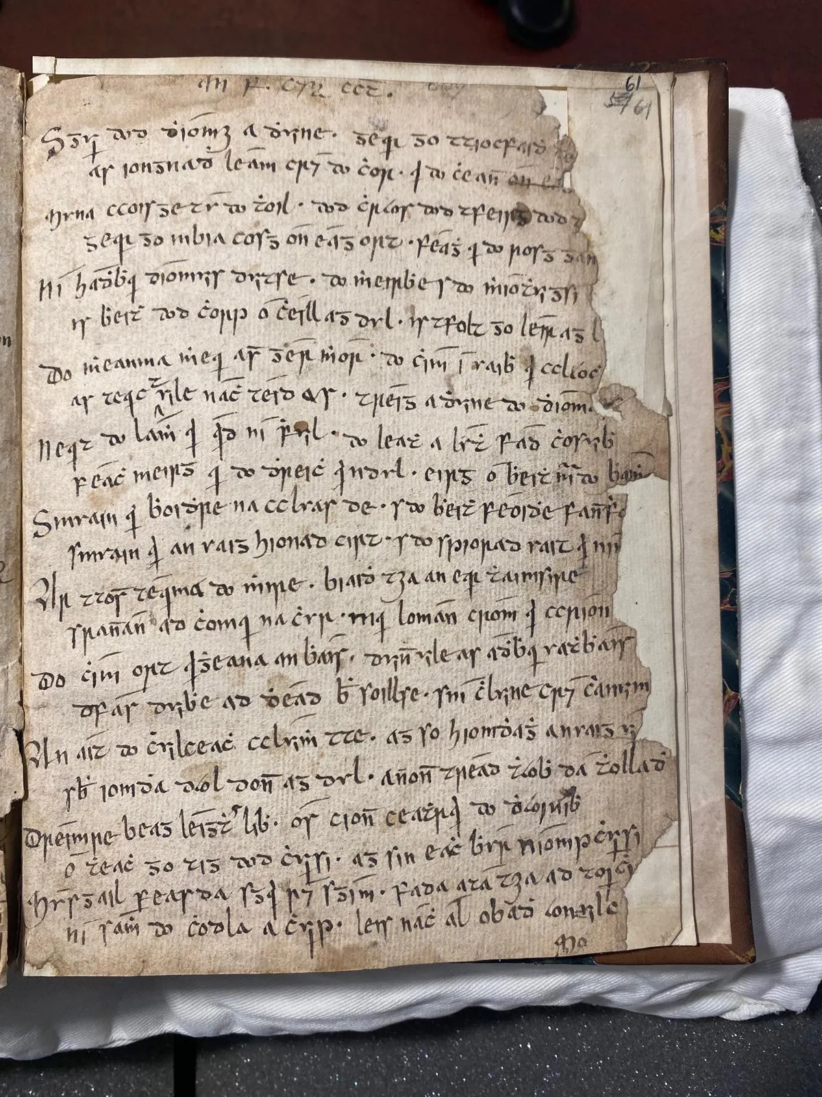 Tráthnóna：源自18世纪爱尔兰手稿的古典连笔字体