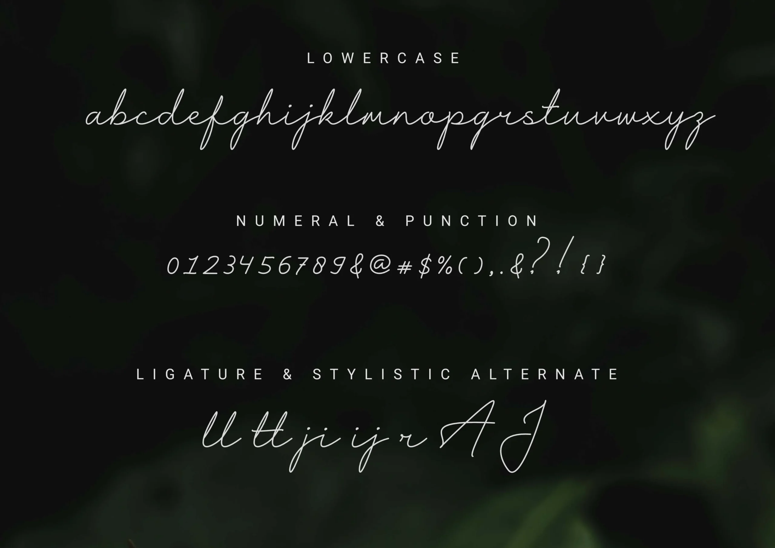 Harshita签名字体:免费商用高端手写品牌签名字体