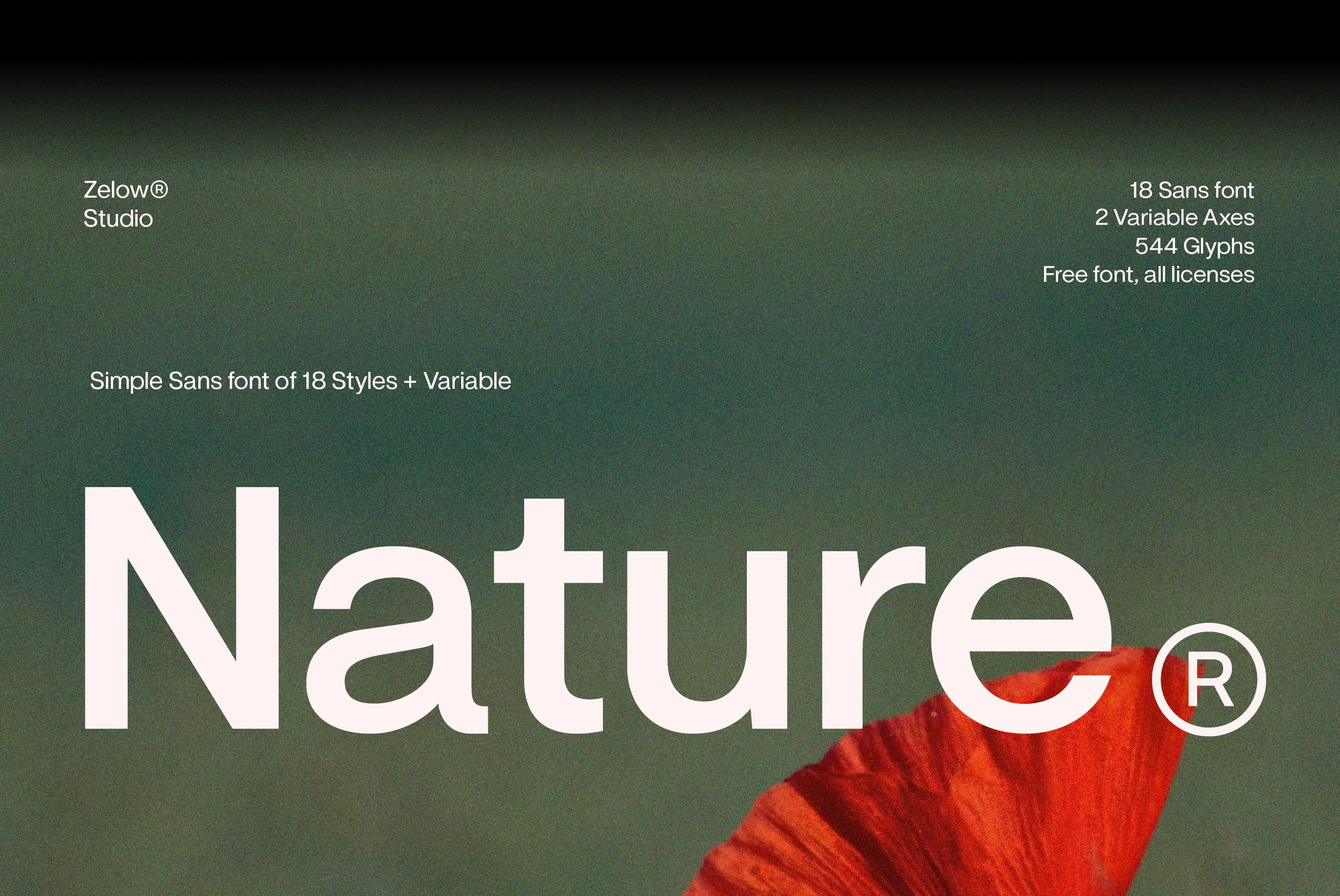 ZT Nature无衬线字体:现代几何风免费商用可变字体家族