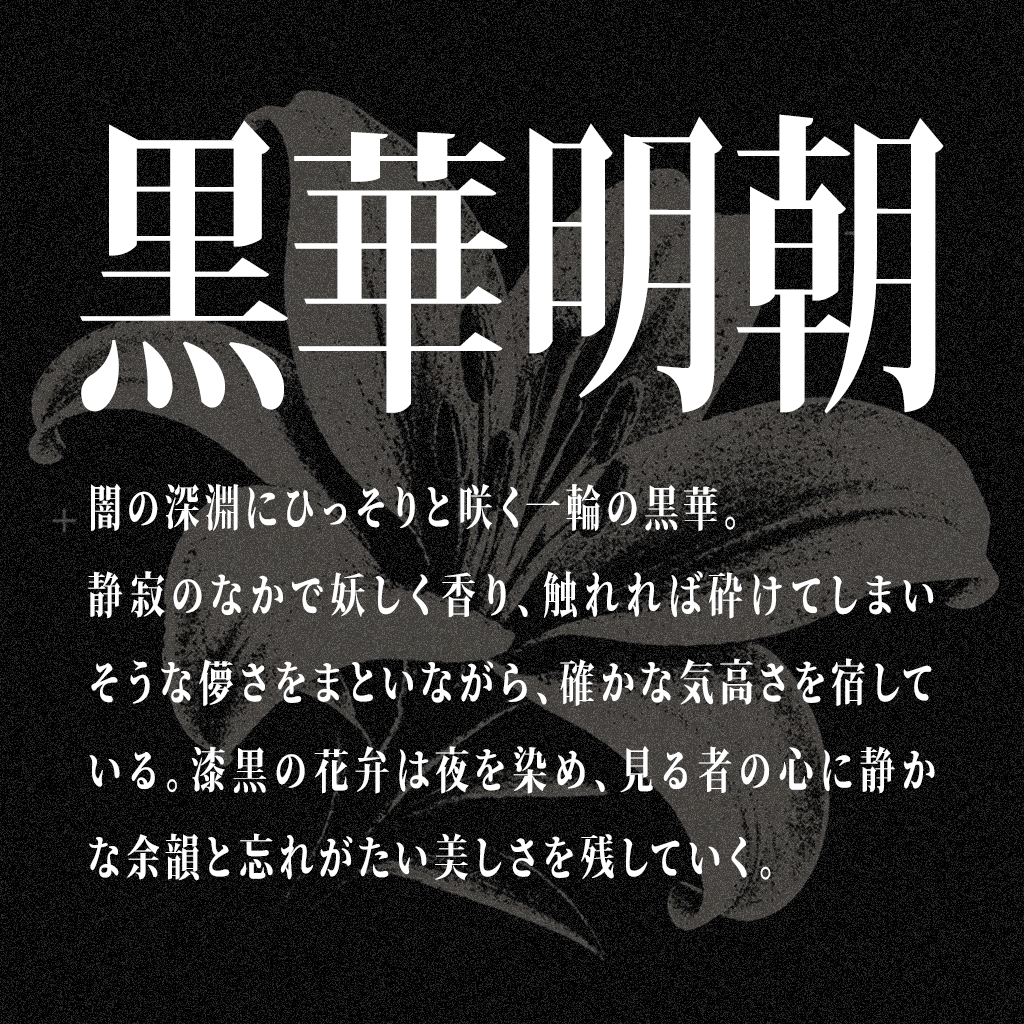 黒華明朝:时尚、现代且修长的视觉的字体